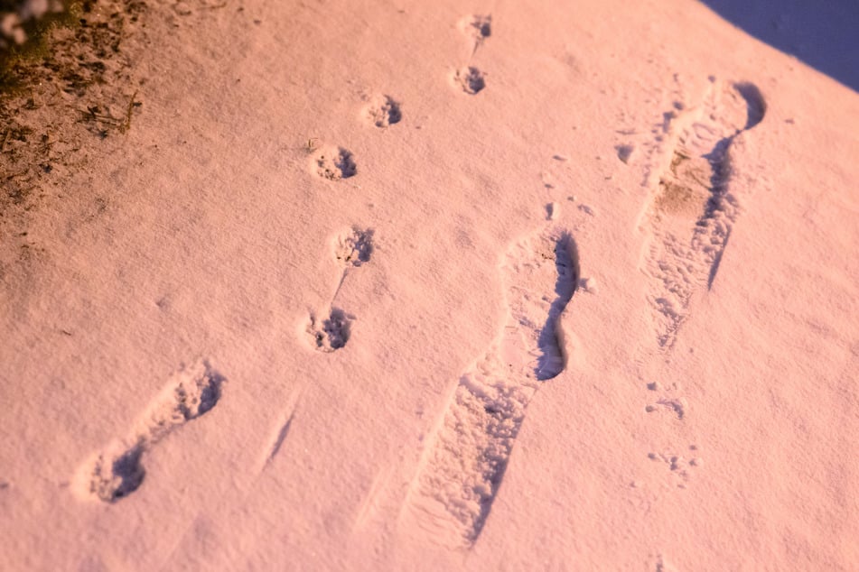 Wetter in Berlin und Brandenburg: Schnee und Frost lassen uns weiter bibbern