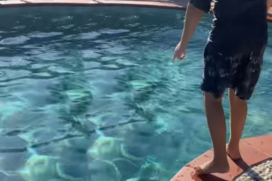 Vater glaubt nicht, was Sohn im Pool gefunden haben will: Als er reinschaut, ist er platt!
