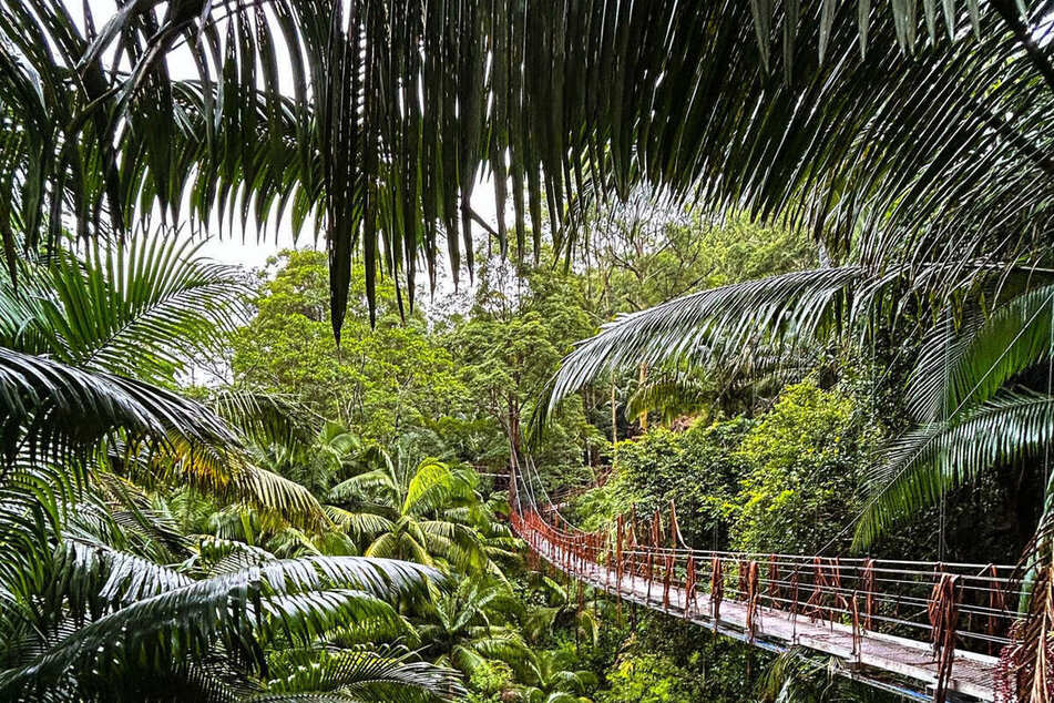 Immer mehr Gerüchte um die Besetzung der Reality-Show tauchen auf.