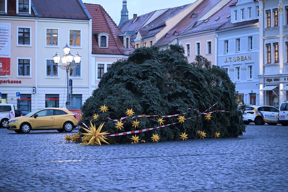 In der Nacht zu Freitag wurde der Weihnachtsbaum gefällt.