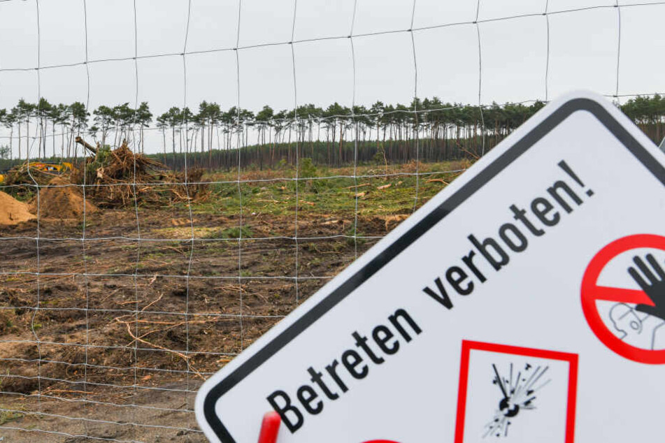 Umweltschützer wollen gegen die Rodung protestieren.