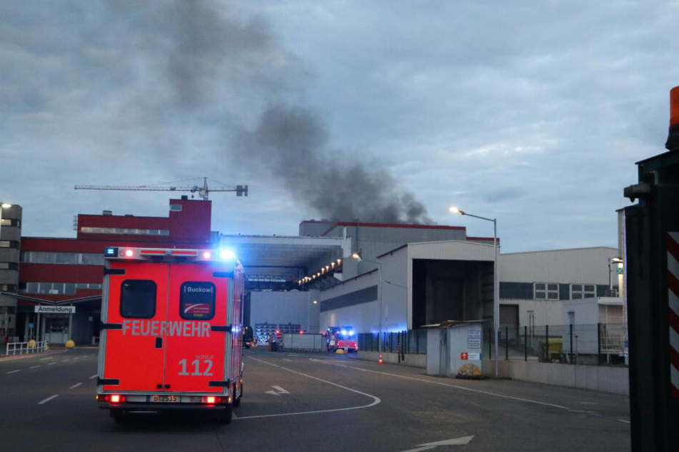 Der Rauch war in weiten Teilen Neuköllns zu sehen.