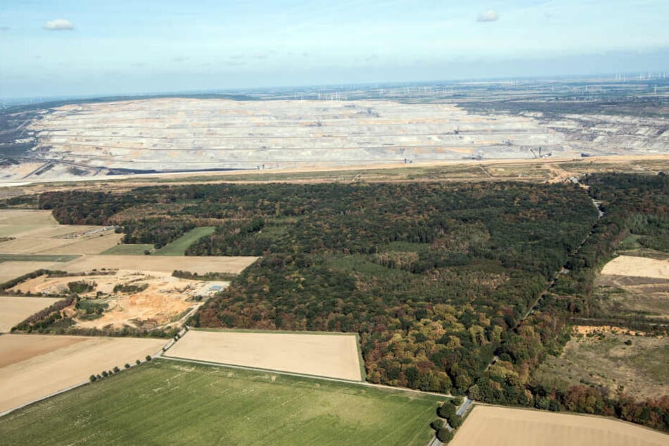 Der Hambacher Forst bleibt erhalten (Archivbild).