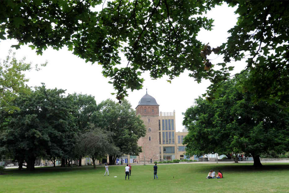 Zum Ende des Jahres will die Stadtverwaltung im Stadthallenpark Bäume und Sträucher entfernen lassen.