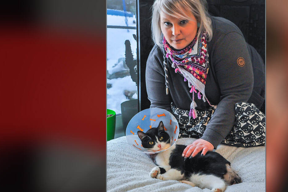 Corina Tittmann (38) pflegt ihren misshandelten Kater Rudolf.