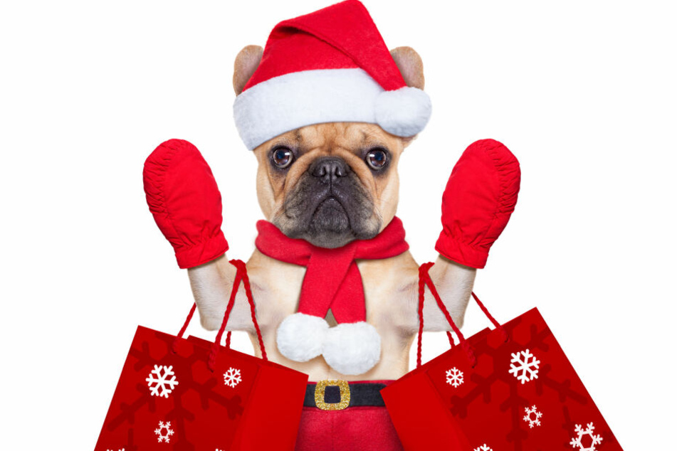 Auf diesem Weihnachtsmarkt kann man mal so richtig shoppen für den Hund.