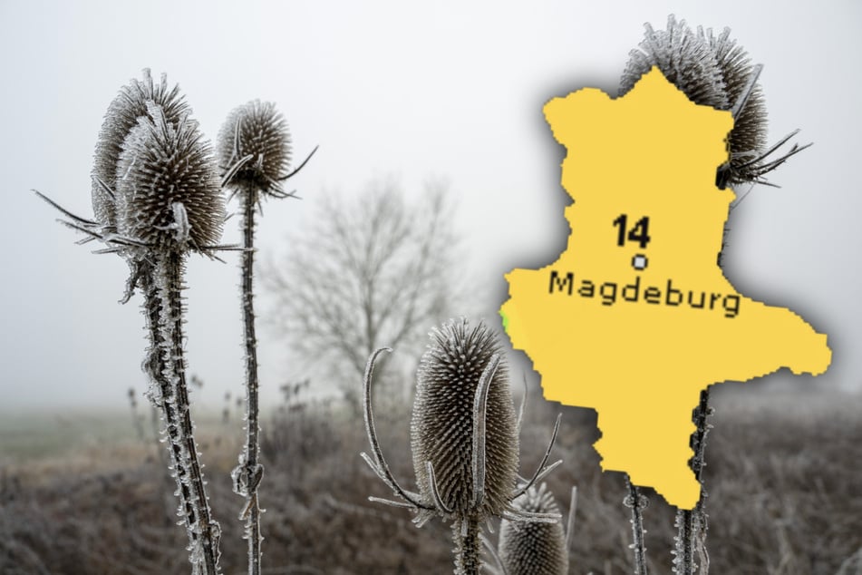 In der Nacht kann es in Sachsen-Anhalt ersten Bodenfrost geben. (Symbolbild)