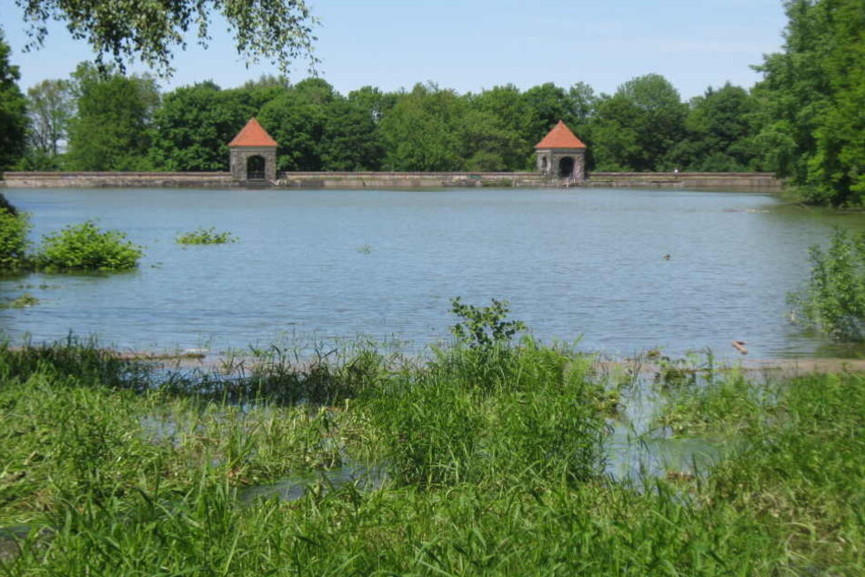 2013 zeigte das Hochwasser, wie wichtig die stillgelegte Talsperre sein kann - und wie schön.