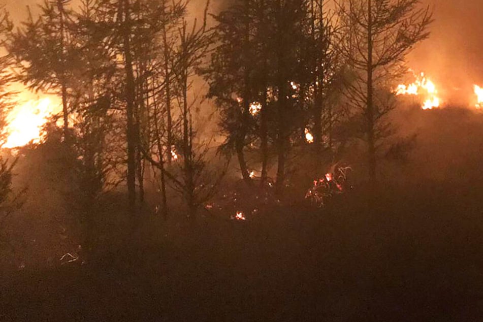 Flammen lodern im Seulingswald im Landkreis Hersfeld-Rotenburg.