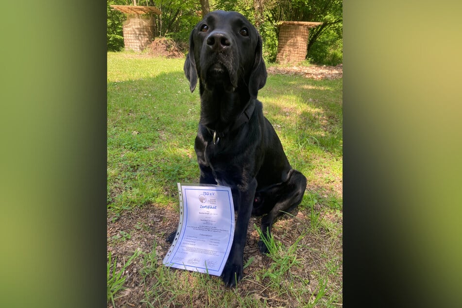 Stolz, wie Frauchen: Boon ist heute sogar ein ausgebildeter Therapiehund.
