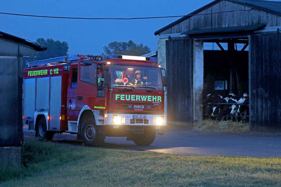 Die Feuerwehr ist an einem Rinderstall in Schönberg im Einsatz.