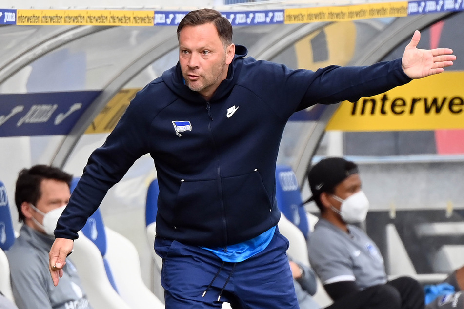 Hertha Bsc Meine Meinung Trainersuche Bei Hertha Es Kann Nur Einen Geben Tag24