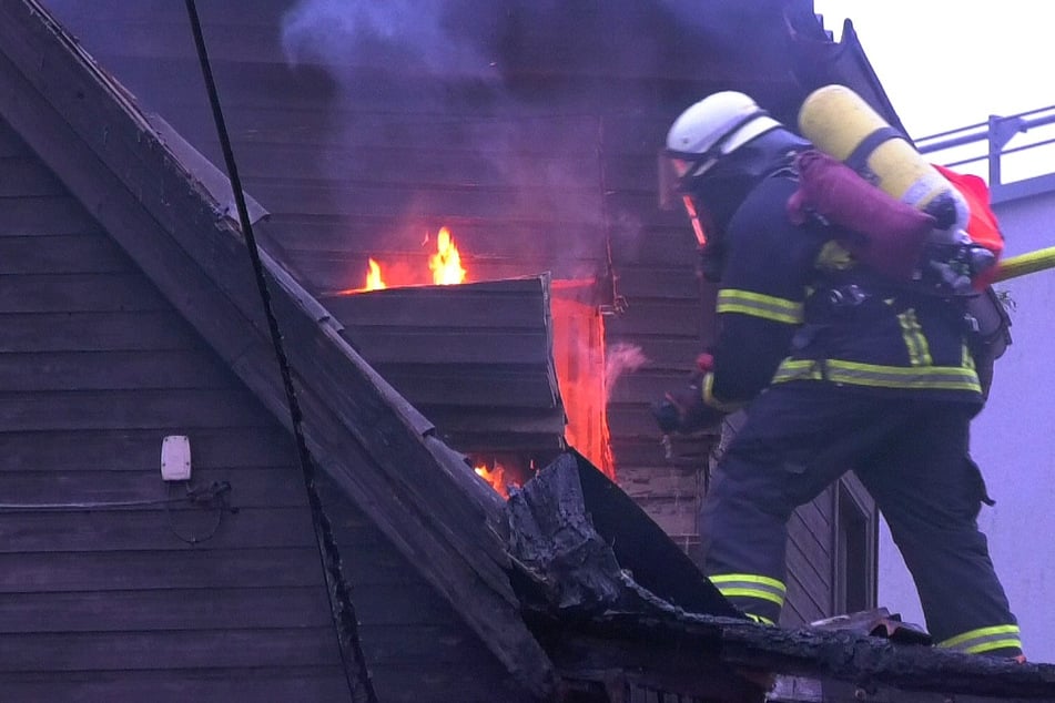 Hamburg: Brand in Kleingartenkolonie: Gartenhaus fällt Flammen zum Opfer