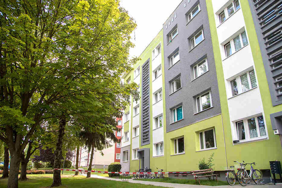 Nach dem Sturz brachte ein Hubschrauber das verletzte Kind ins Krankenhaus.
