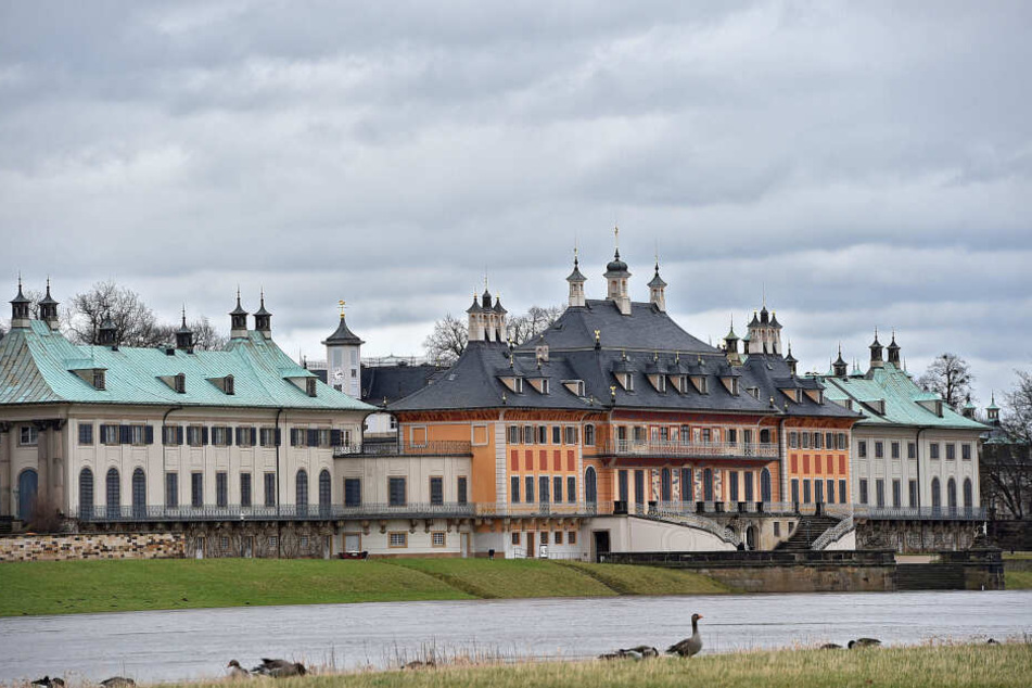 Die Leiche wurde vor dem Schloss Pillnitz angespült. (Archivbild)