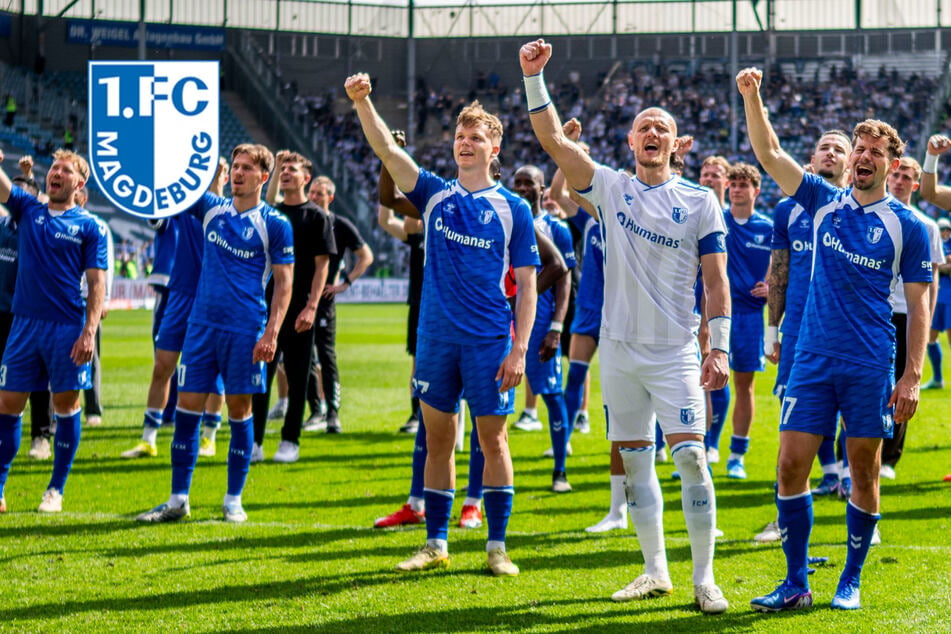 Vier Neuzugänge an der Elbe: Transferbilanz des FCM kann sich sehen lassen
