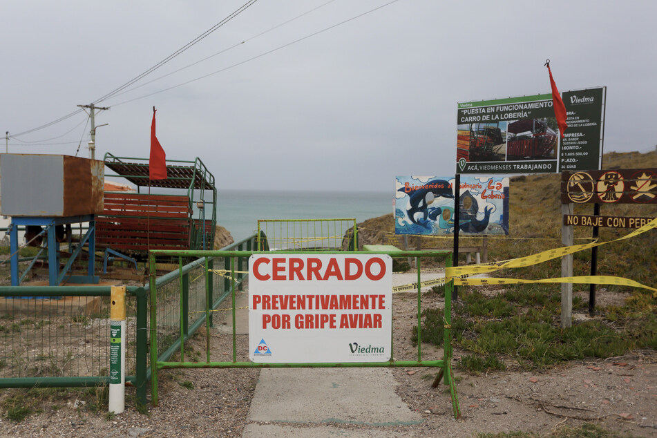Ein Schild mit der Aufschrift "Wegen Vogelgrippe dauerhaft geschlossen" hängt an einem Tor am Strand in der Nähe von Viedma, Argentinien.