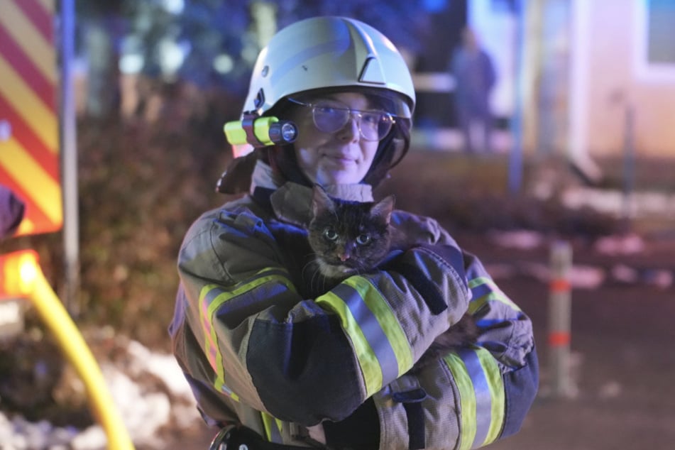 Das Kätzchen war nach seiner Rettung in guten Händen.