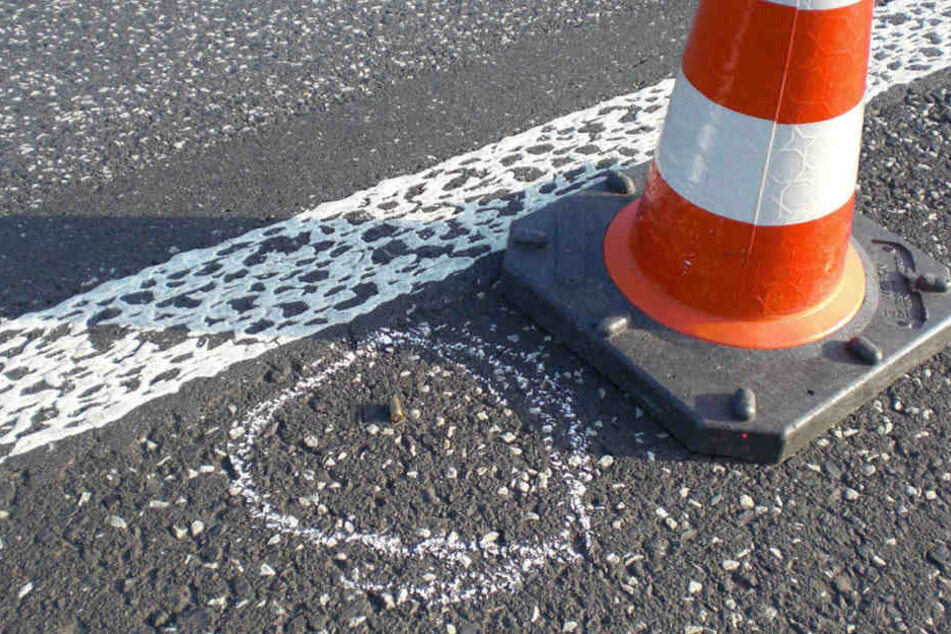 Spürhunde suchten auf der Landstraße Patronenhülsen. (Symbolbild)