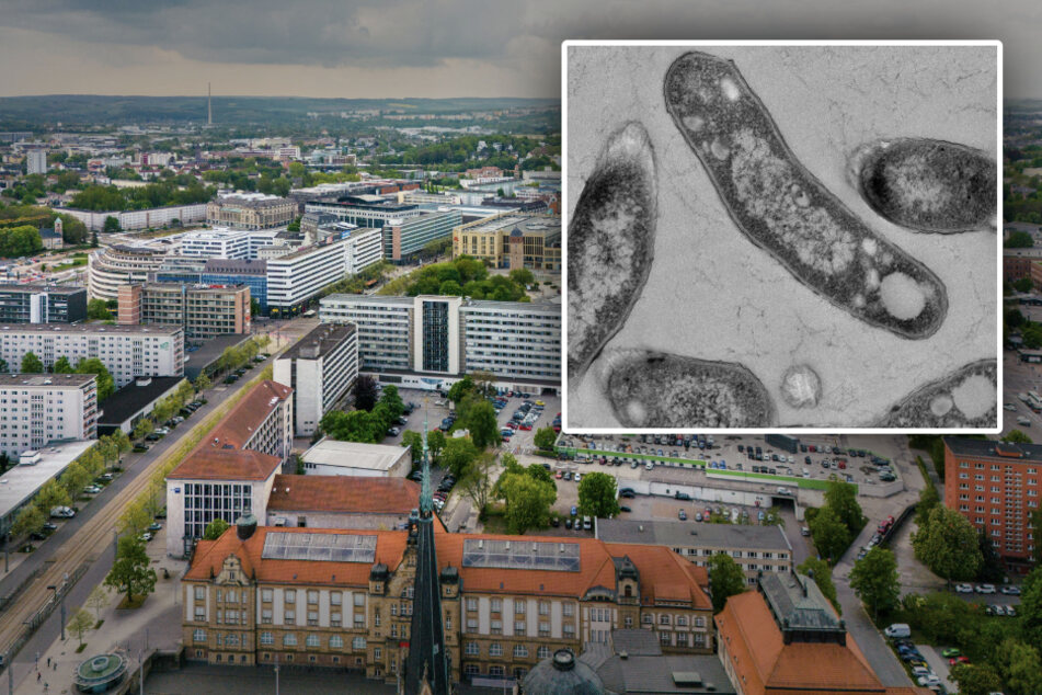 Chemnitz: Tuberkulose-Ausbrüche in Chemnitz: Drei Einrichtungen betroffen