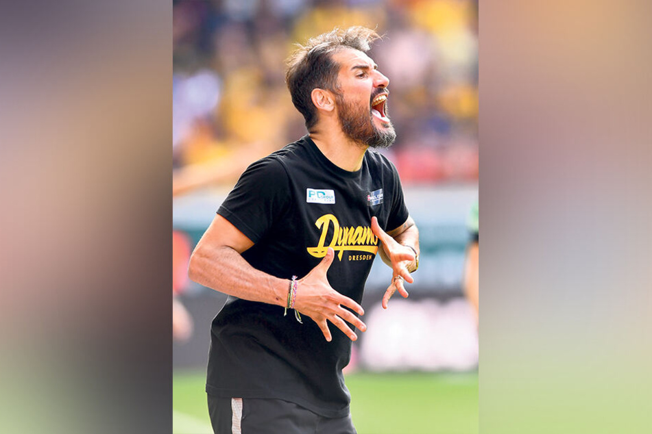 Diese Bilder der bisherigen Saison zeigen das Auf und Ab bei Dynamo: Trainer Cristian Fiel mal wild gestikulierend...