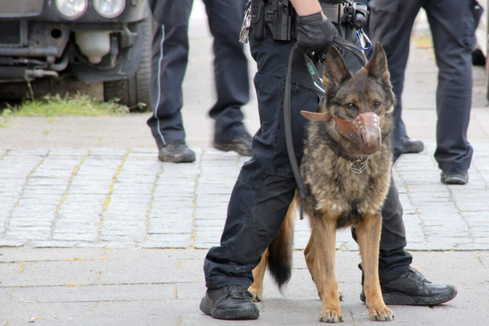 Auch Polizeihunde kamen am Dienstag zum Einsatz.