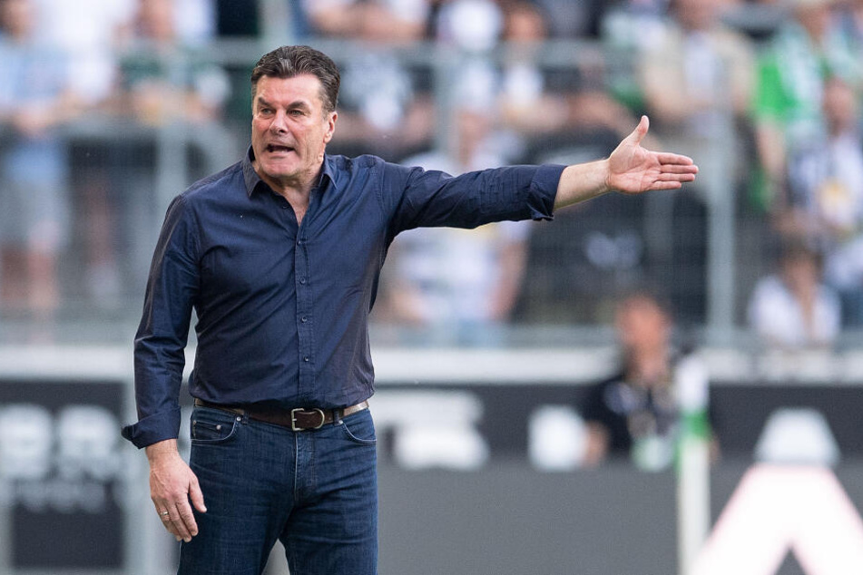 Gladbach-Trainer Dieter Hecking reagierte auf die Sprüche mit Unverständnis. "Die sowas schreiben, muss man fragen, ob sie einen IQ von Null haben."