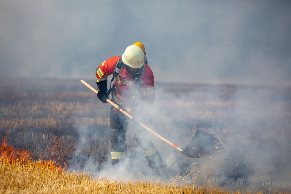 Ein Feuerwehrmann versucht den Feldbrand einzudämmen. Die große Hitze machte den Einsatzkräften zu Schaffen.