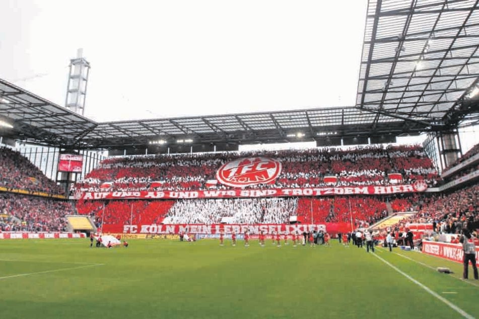 Im garantiert proppenvollen Kölner Stadion muss der FC Erzgebirge morgen ran - hoffentlich nicht mit weichen Knien...