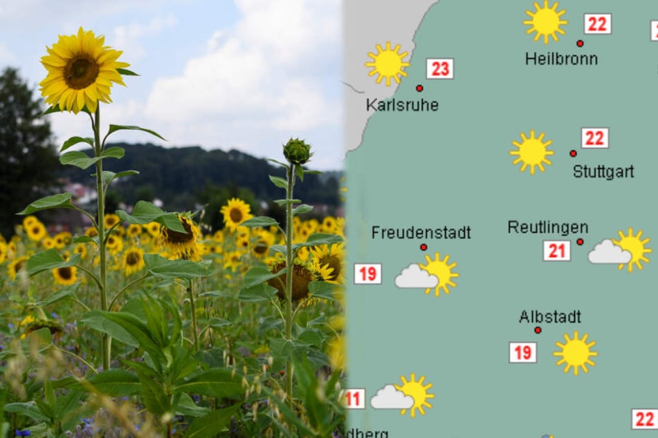 Im Laufe der Woche wird es in Baden-Württemberg noch einmal sonnig und warm.