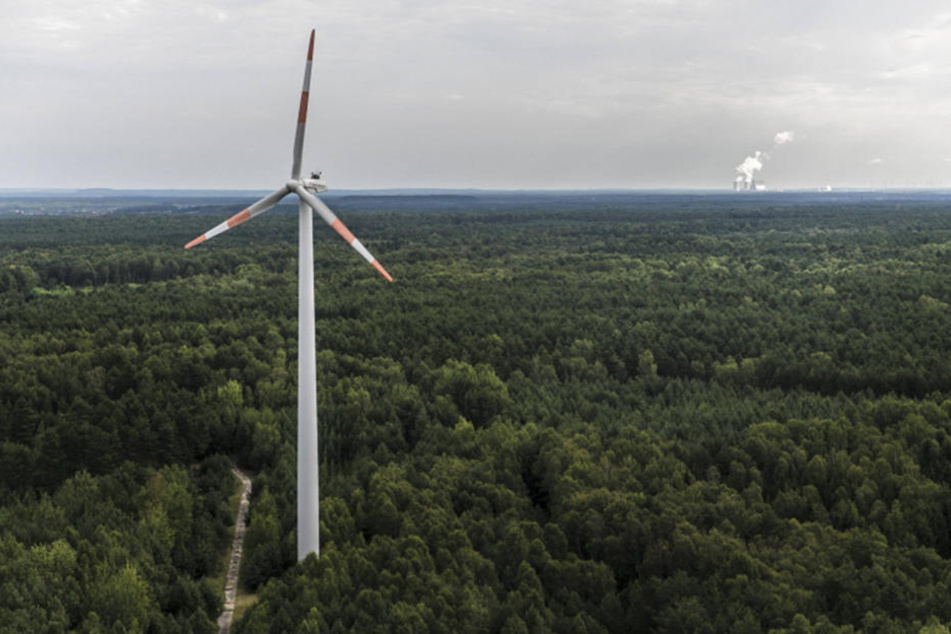 Der Freistaat hat sich offiziell das Ziel gesetzt, seinen Wald zu mehren. Ungeachtet dessen wird jetzt darüber nachgedacht, Windräder in Nutzwäldern zu errichten.