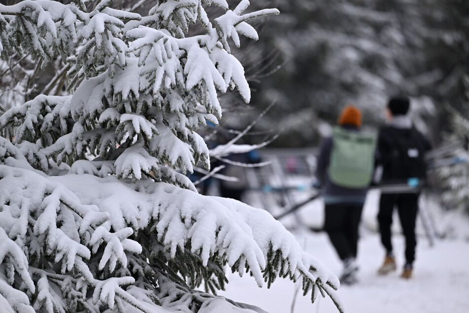 Bis zu 35 Zentimeter Schnee: In dieser Thüringer Region ist Wintersport super möglich