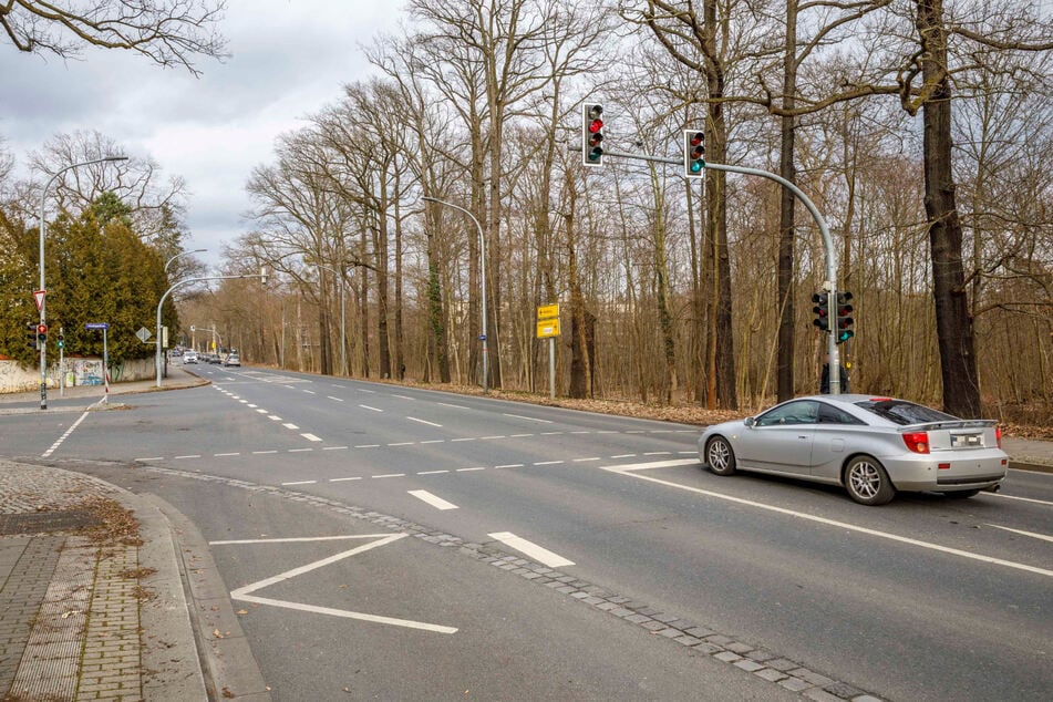 Dresden: Männer-Duo rastet in Dresden völlig aus: Lkw beworfen, Penis gezeigt, rechte Parole skandiert