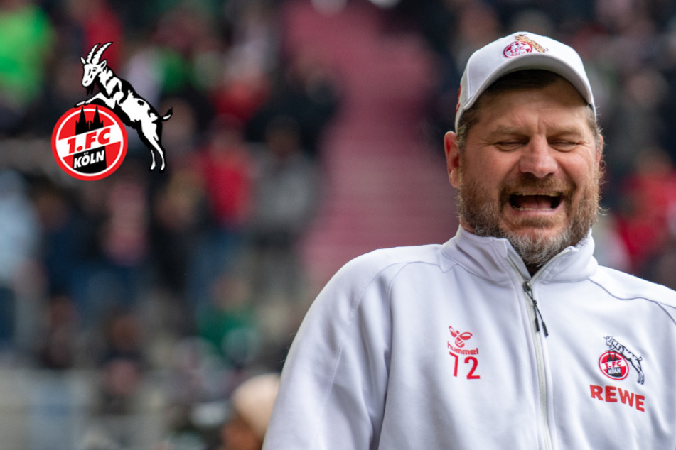 1. FC Köln will gegen Mainz raus aus dem Keller: Baumgart fast mit voller Kapelle