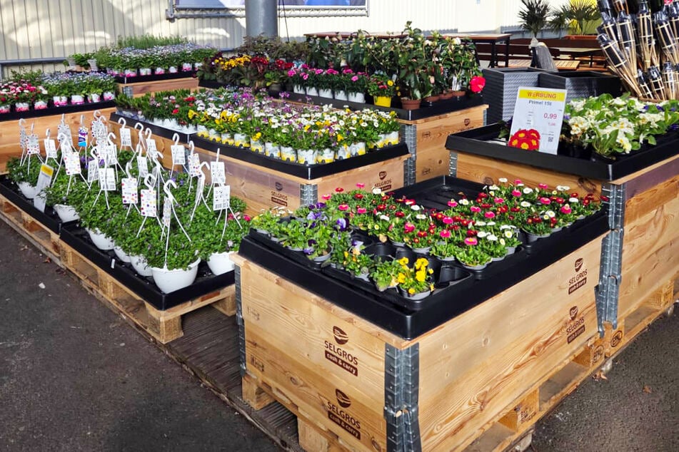 SELGROS veranstaltet tolles Familien-Event am Samstag (28.3.) mit diesen Extras