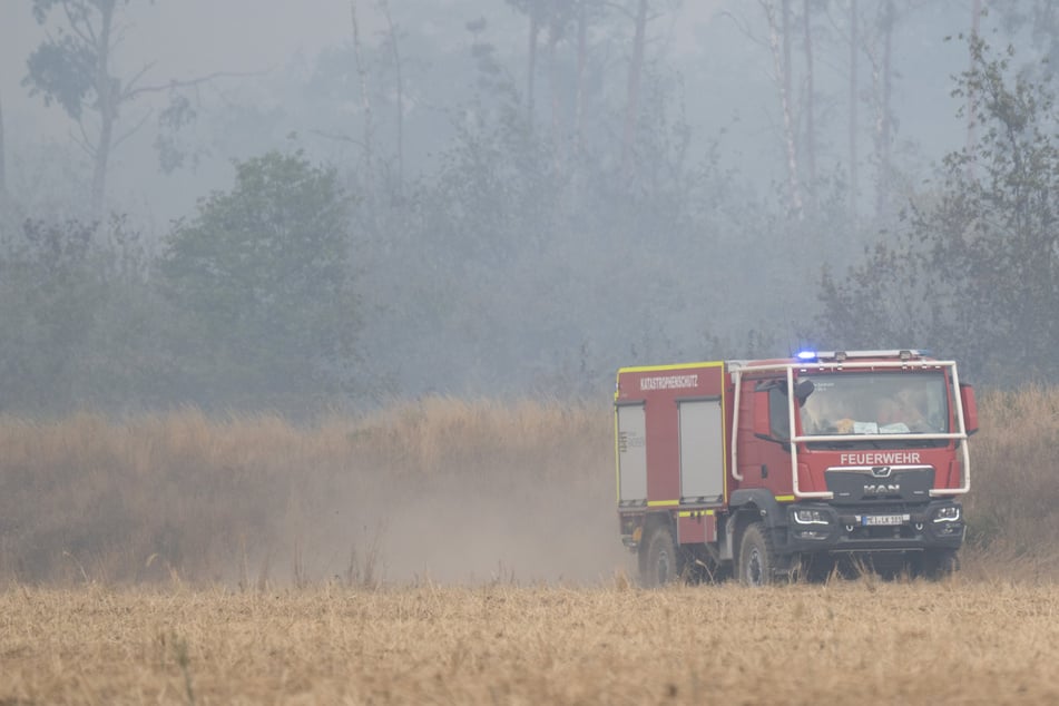 Waldbrand in der Gohrischheide: So ist die Lage an den Einsatzabschnitten