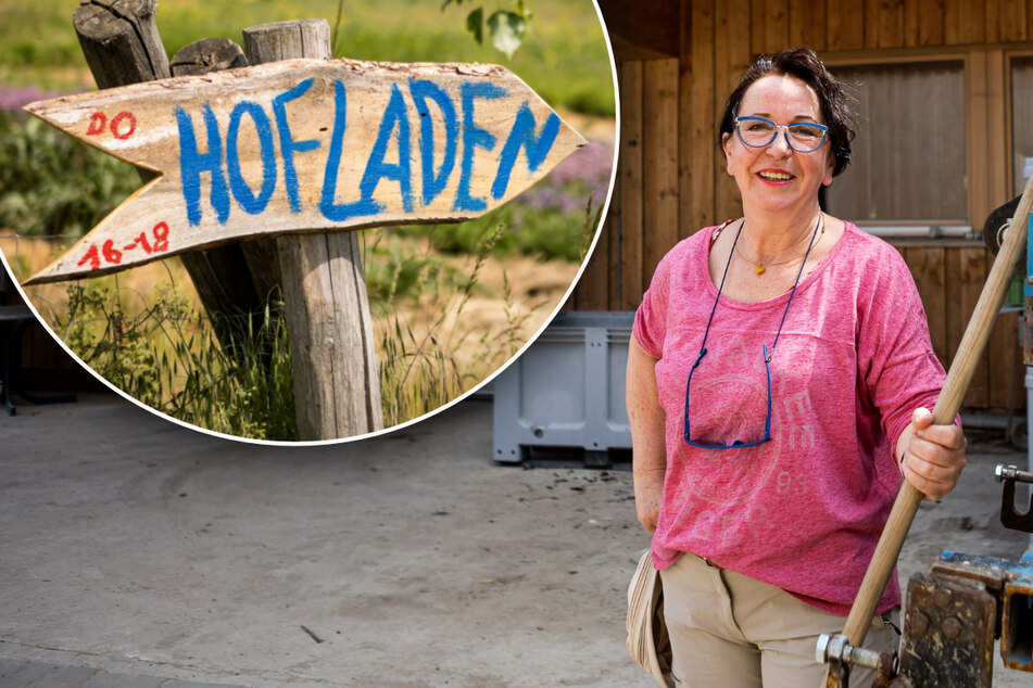 Sachsens größte "Solidarische Landwirtschaft" KOLA zieht in die Ernteschlacht – für lau