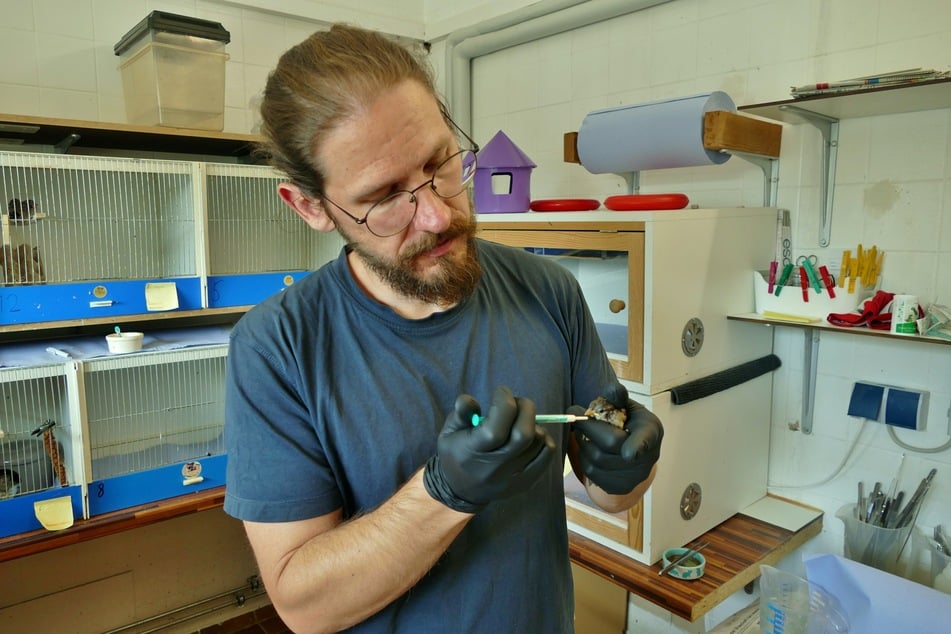 Jacek Nitsch, Abteilungsleiter der Wildtierstation, mit einem seiner Schützlinge.