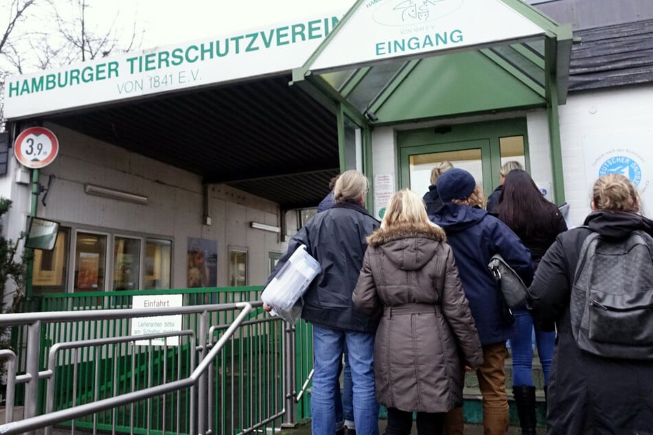 Bald apokalyptische Zustände in Hamburg? Tierheim verhängt Aufnahmestopp