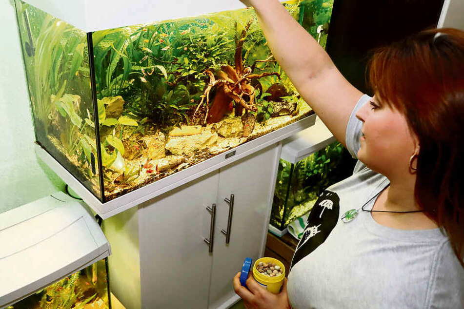 Auf Wunsch kümmert sich die Jungunternehmerin auch um die Wartung von Aquarien.