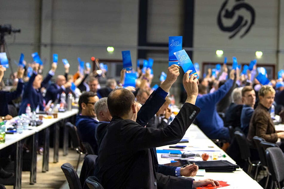 AfD-Abgeordnete bei der Europaversammlung im sächsischen Riesa.