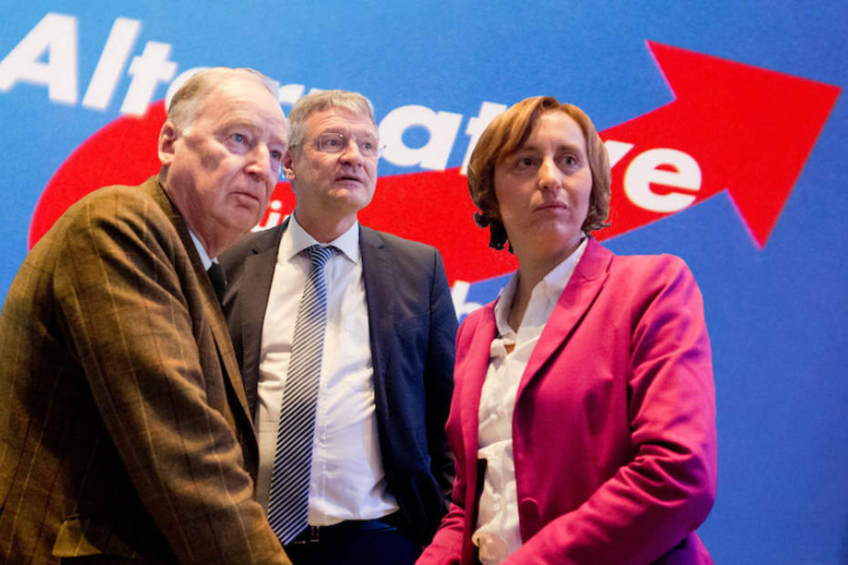Die AfD-Spitze um Alexander Gauland, Jörg Meuthen und Beatrix von Storch dürfte die Umfragewerte freuen. (Bildmontage)