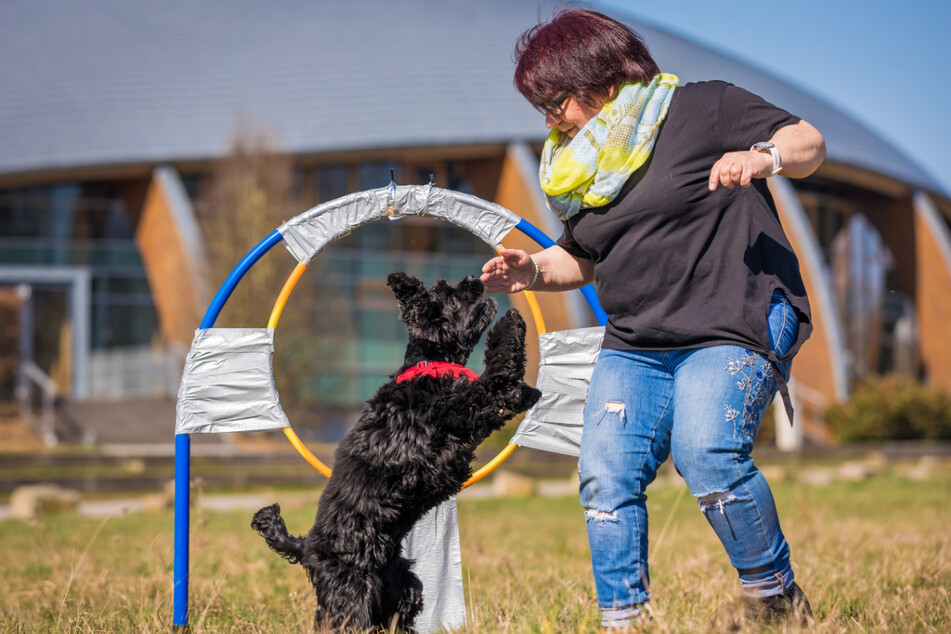 Springender Hund von Hannover stellt Weltrekord auf