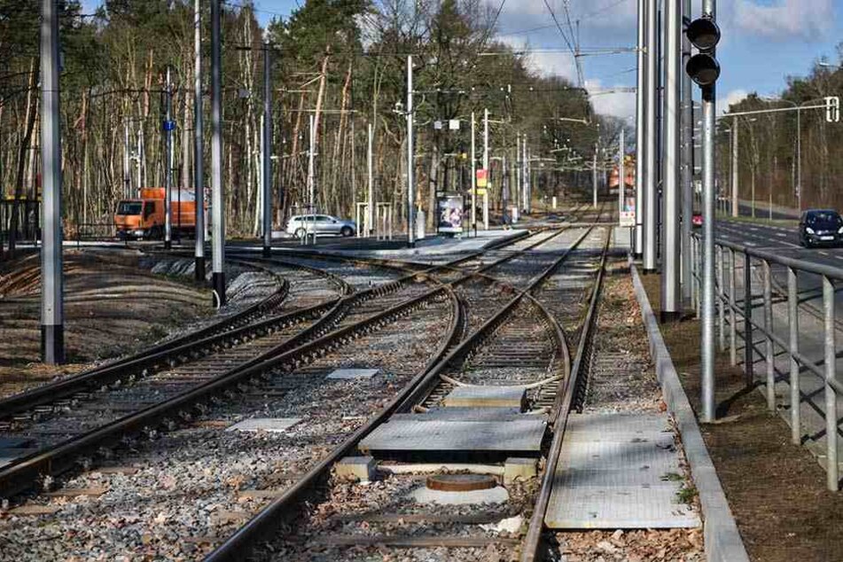 Über die neu verlegten Gleise im Bereich der alten Wendeschleife Diebsteig können die Straßenbahnen bald mit bis zu 60 Stundenkilometern düsen.