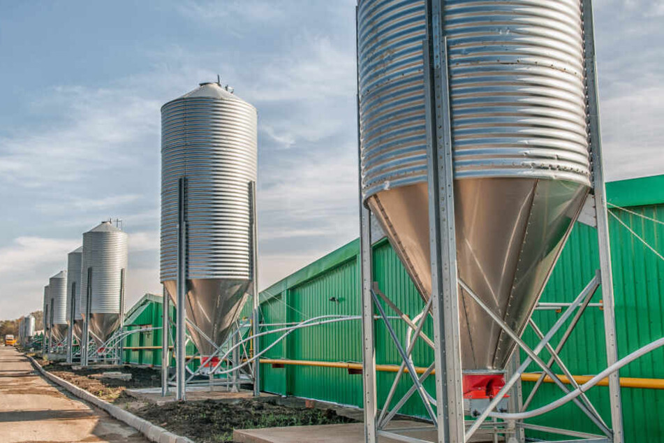 Der Mann starb bei Arbeiten an einem Silo. (Symbolbild)