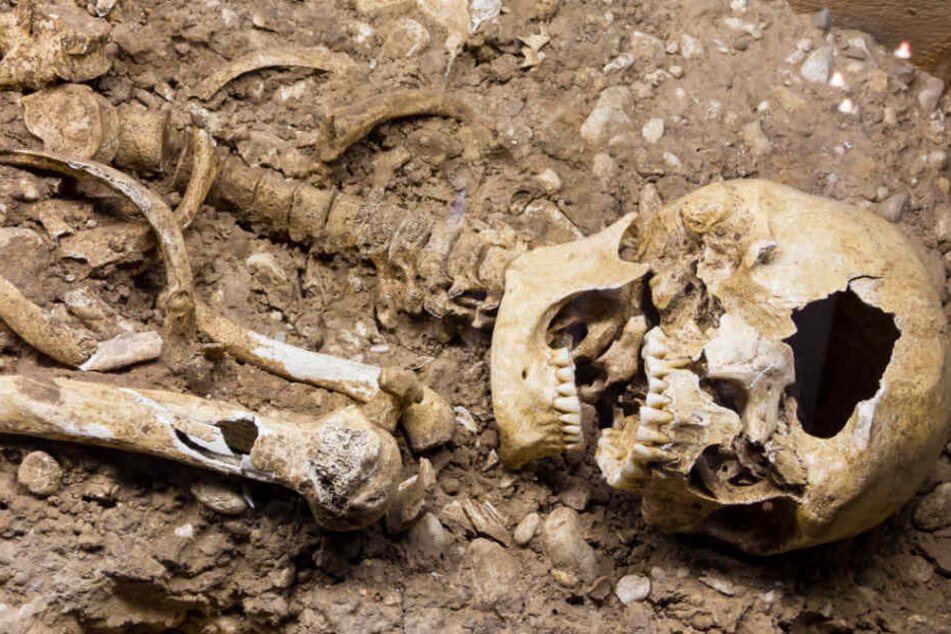 Die Skelettteile stammen von einem Menschen, der die letzten 15 Jahre ums Leben gekommen sei (Symbolfoto).