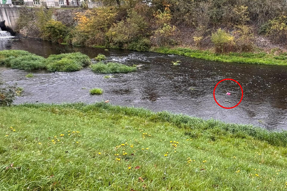 Feuerwehreinsatz in Sachsen: "Baby im Fluss entdeckt"