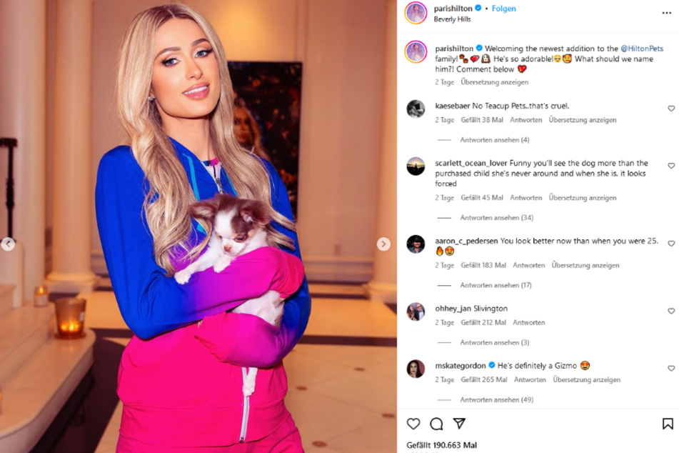 Auf Instagram zeigte sich Paris Hilton (42) mit ihrem neuen Chihuahua.