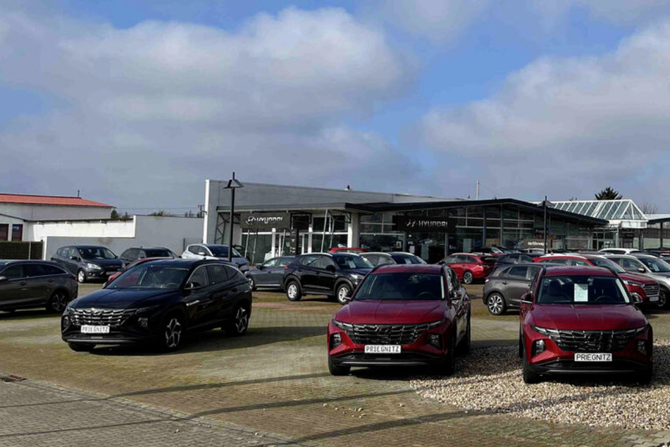 Ganze zwei Wochen lang (4. bis 18. März) gibt's im Autohaus Priegnitz jede Menge Angebote.