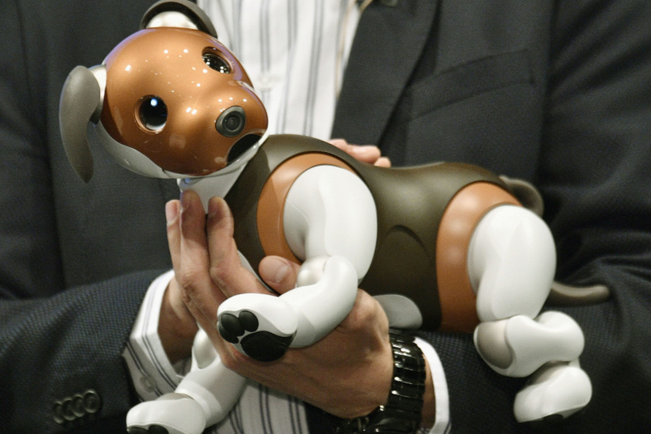 Japan, Tokio: Sonys Roboterhund Aibo wird auf einer Veranstaltung vorgestellt. Kleine Roboter erfreuen sich in Japan während der Corona-Pandemie wachsender Nachfrage als Ersatz für zwischenmenschlichen Kontakt.